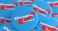 Geheime Telegram-Chats der AfD wurden geleakt: Darin träumen AfD-Politiker vom Bürgerkrieg. Auch in anderen Chats wird der Ton schärfer: Impfgegner rufen zum Mord an Politikern auf.