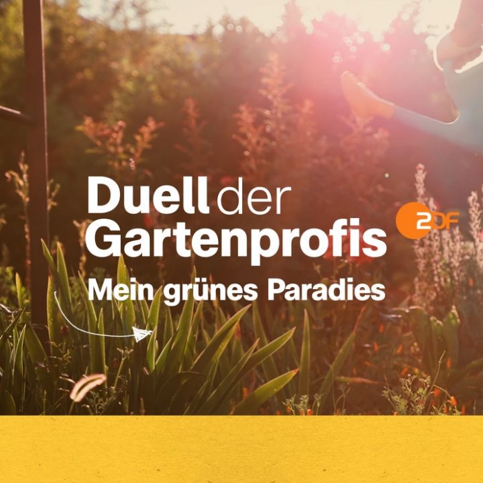 Wiederholung und Mediathek zur Sendung