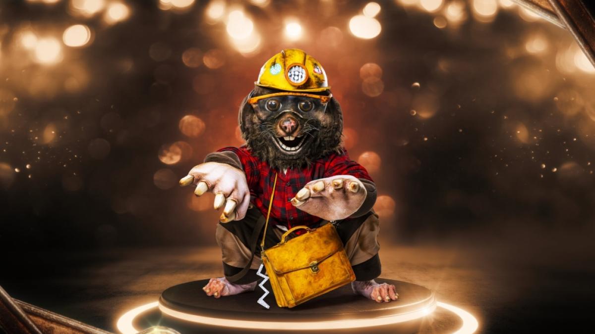 Der Maulwurf ist nur durch einen Schusselfehler beim Buddeln bei "The Masked Singer" 2022 gelandet - welcher Star k&ouml;nnte in diesem Kost&uuml;m stecken? (Foto)