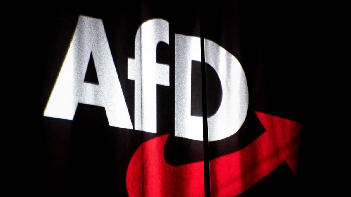 Die AfD erhielt eine Gro&szlig;spende &uuml;ber 35.000 Euro (Symbolbild). (Foto)