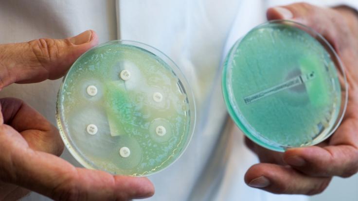 Der falsche Einsatz von Antibiotika hat die Zahl der multiresistenten Keime explodieren lassen.
