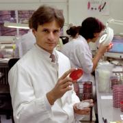 Professor Alexander Kekulé, Mikrobiologe und Wissenschaftsjournalist, untersucht im mikrobiologischen Labor der Martin-Luther-Universität Halle-Wittenberg 2001 bakterielle Proben von Patienten.