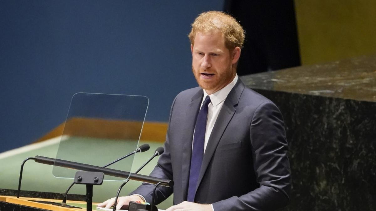 Prinz Harry k&ouml;nnte ein neues Royal-Enth&uuml;llungsbuch das Leben schwer machen. (Foto)