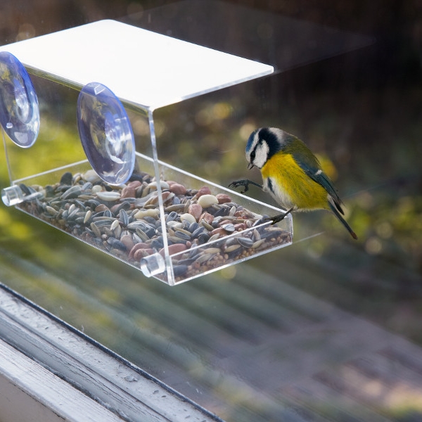 Hier kommen hungrige Vögel auf ihre Kosten