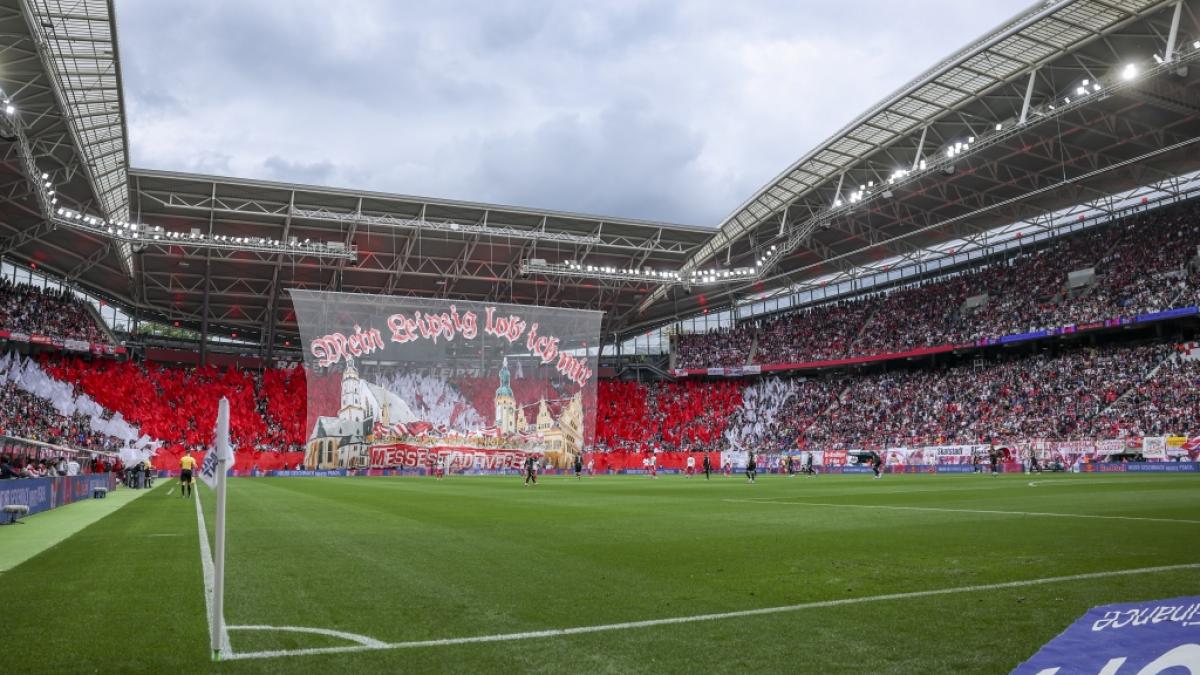 Der heilige Rasen in der Messestadt - Red Bull Arena. (Symbolbild) (Foto)