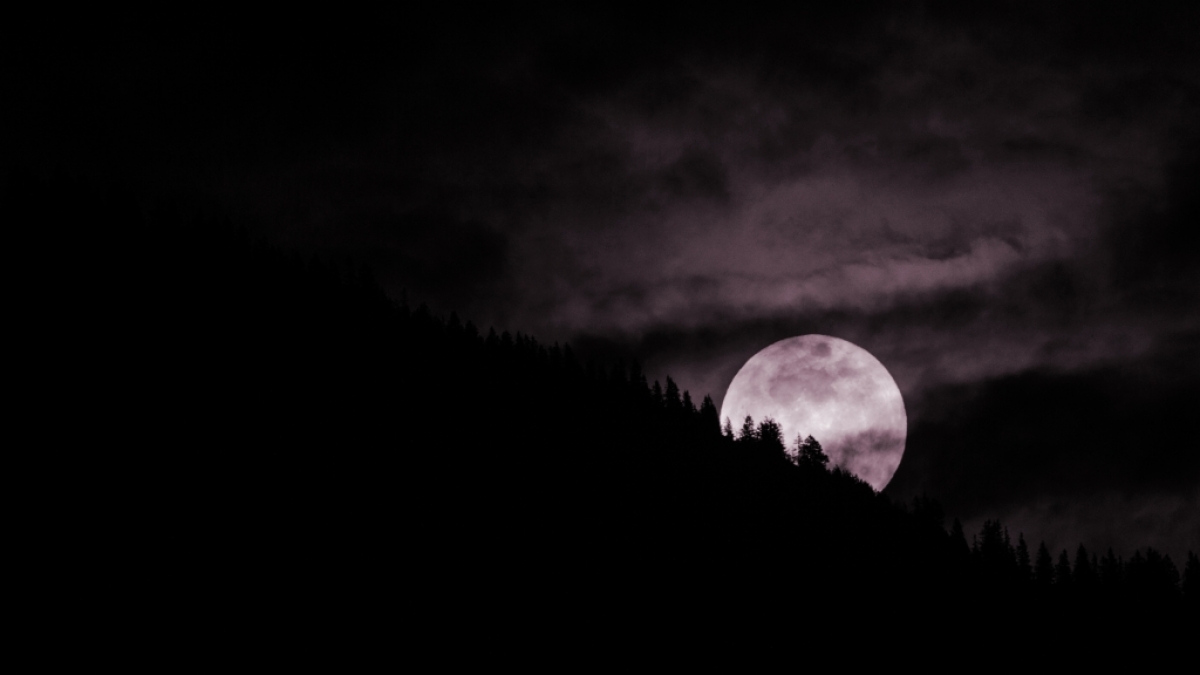 Der April-Vollmond wird auch als pinkfarbener Mond bezeichnet, aber warum? (Foto)