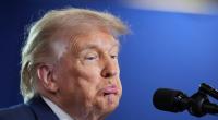 Donald Trump sind die Zwichenwahlen angeblich egal.