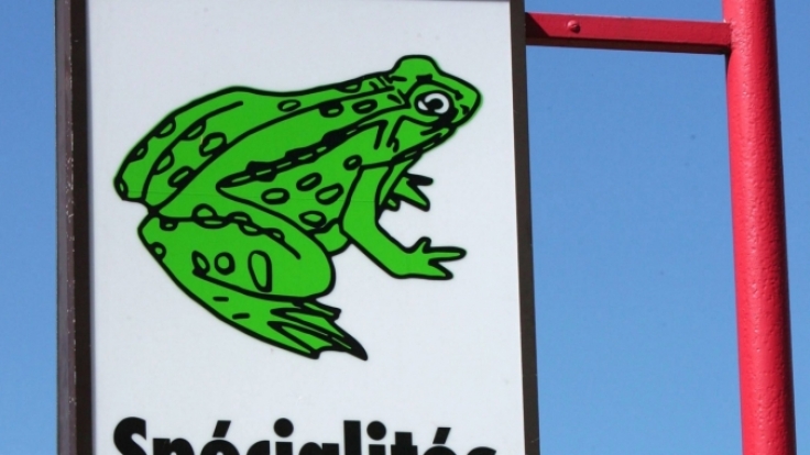 Sind Froschschenkel In Deutschland Verboten Nicht immer nur Baguette: Was Sie beim Franzosen auf keinen Fall