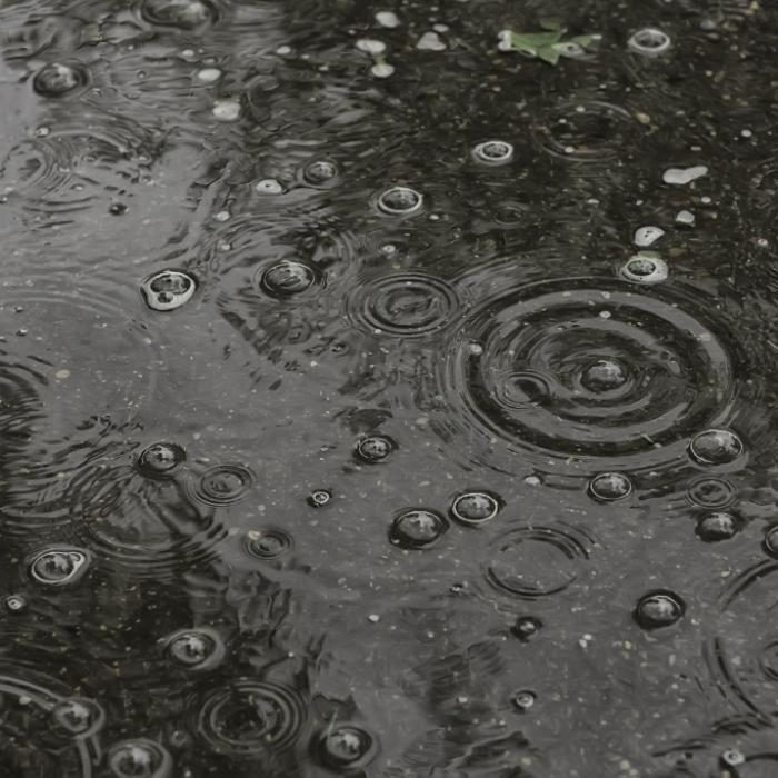 So wird das Wetter in den nächsten 7 Tagen