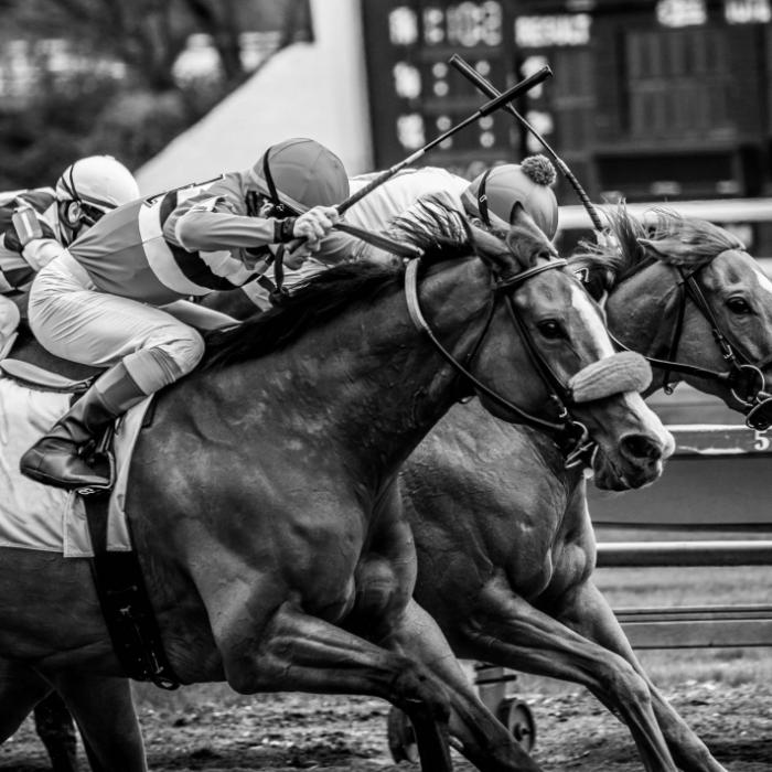 Traurige Gewissheit! Jockey mit 26 Jahren gestorben