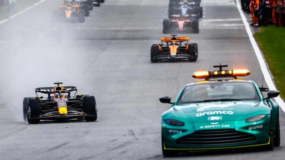 In der Formel-1-Weltmeisterschaft treten professionelle Rennfahrer in bis zu 23 Rennen pro Jahr an. Hier f&auml;hrt ein Safety Car vor dem Teilnehmerfeld beim Gro&szlig;en Preis von Belgien. (Foto)