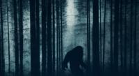 Zeigt das Video tatsächlich Bigfoot?