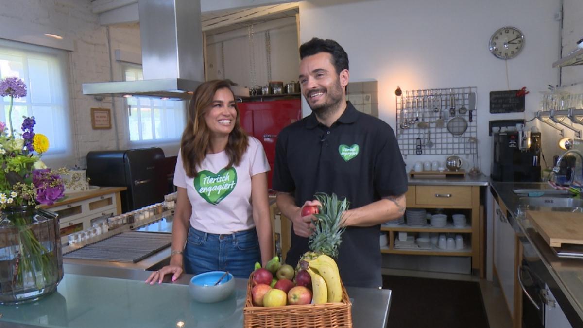 Jana Ina und Giovanni Zarrella sind Unterst&uuml;tzer der Initiative "Tierisch engagiert" von "Fressnapf" (Foto)