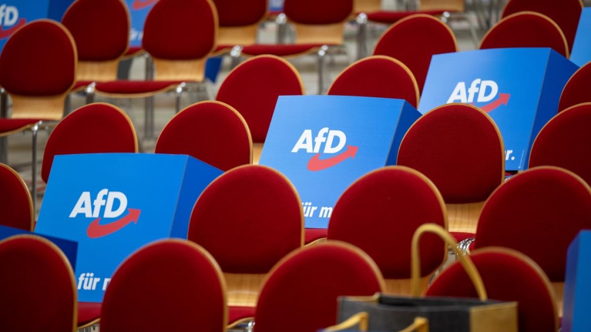 Die AfD plant einen massiven Umbau des Staates. (Foto)