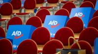 Die AfD plant einen massiven Umbau des Staates.