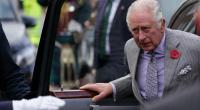 König Charles III. findet einfach keine Ruhe: Seit geraumer Zeit behauptet der Australier Simon Dorante-Day steif und fest, der uneheliche Sohn von Königsgemahlin Camilla und des Monarchen zu sein.