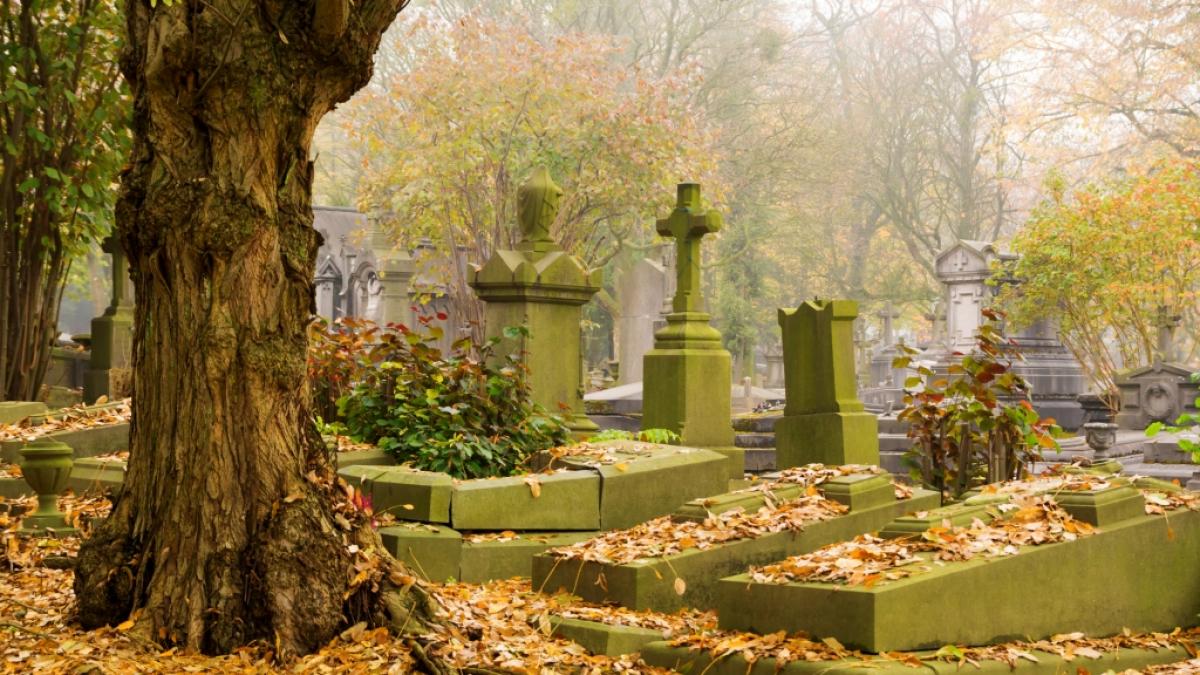In Australien ist ein Mann auf einem Friedhof verhaftet worden, nachdem er sich mehrmals mit einer elektrischen Zahnb&uuml;rste selbst befriedigt hat. (Foto)