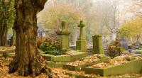 In Australien ist ein Mann auf einem Friedhof verhaftet worden, nachdem er sich mehrmals mit einer elektrischen Zahnbürste selbst befriedigt hat.