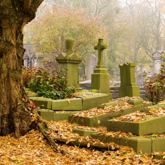 Mit elektrischer Zahnbürste! Mann befriedigt sich auf Friedhof selbst