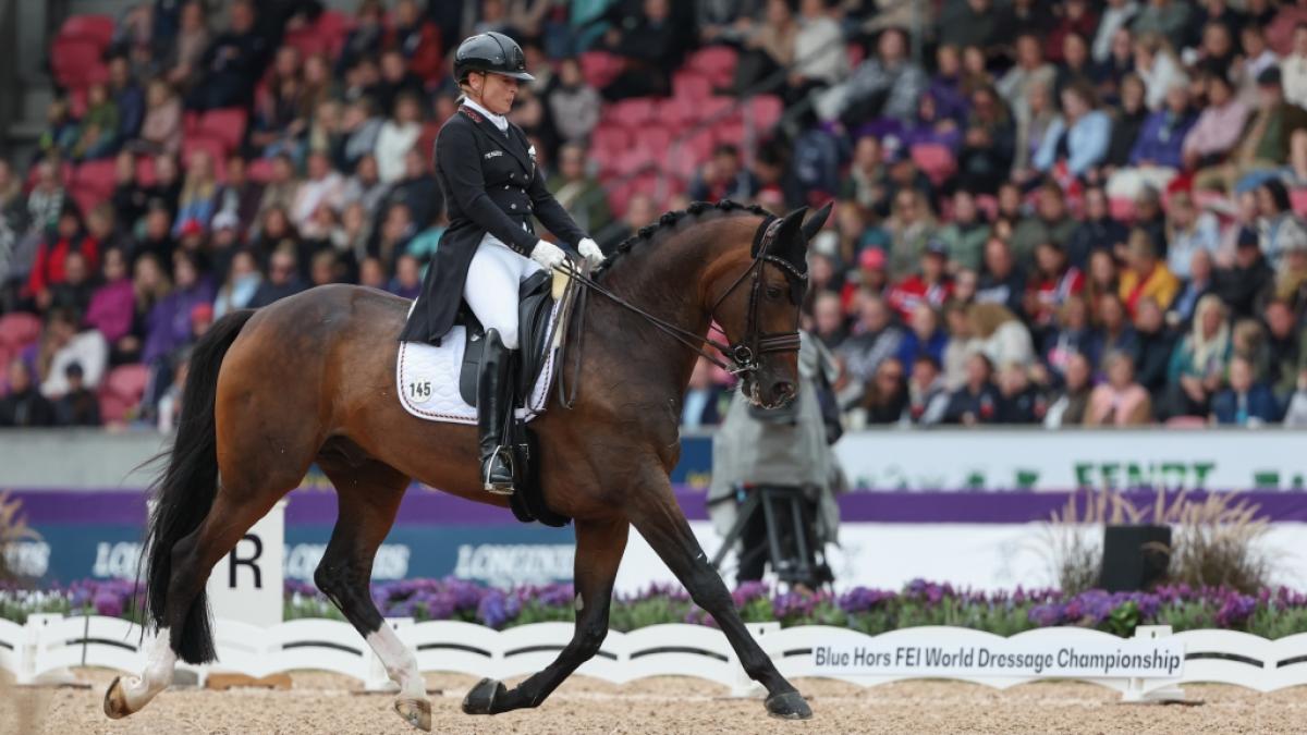 Dressurreiterin Isabell Werth geht mit DSP Quantaz bei der Dressur-WM 2022 in Herning (D&auml;nemark) auf Medaillen-Jagd. (Foto)
