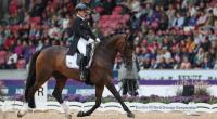 Dressurreiterin Isabell Werth geht mit DSP Quantaz bei der Dressur-WM 2022 in Herning (Dänemark) auf Medaillen-Jagd.