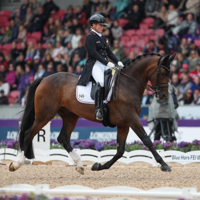 Goldmedaille verpasst! Deutsche Reiter gehen beim Springen leer aus