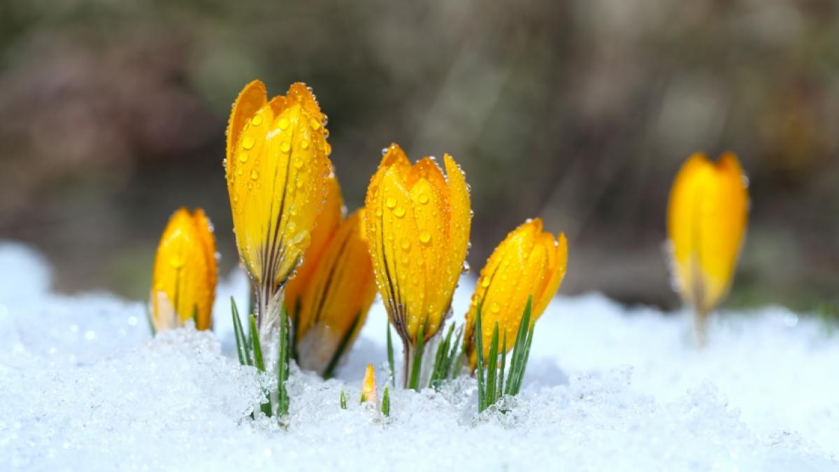 Der Wetterdienst warnt vor erneutem Neuschnee. (Foto)