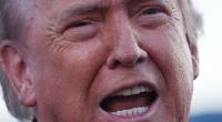 Donald Trump verkündet eine Feuerpause im Ukraine-Krieg – zumindest für 72 Stunden.