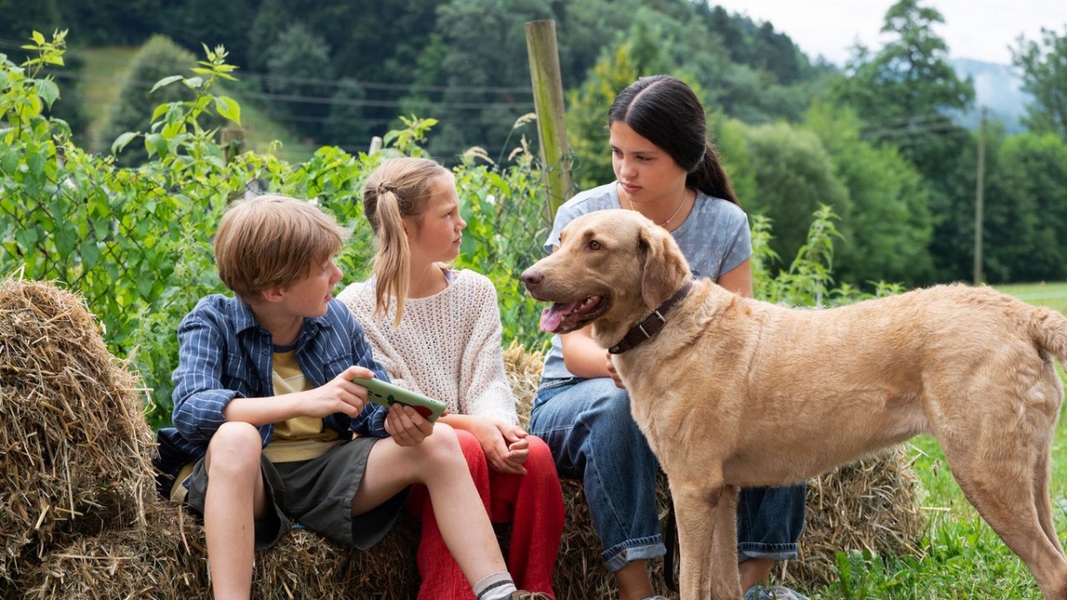 Tiere bis unters Dach bei Das Erste (Foto)