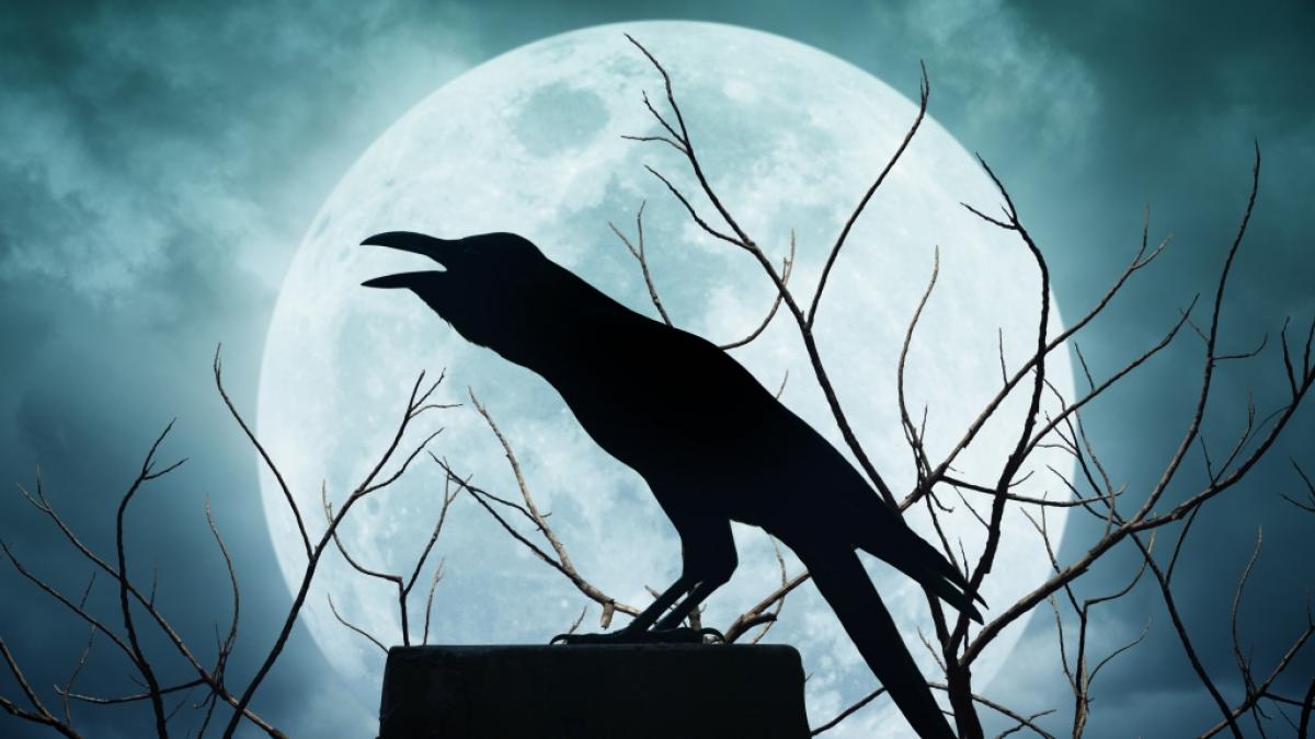 Der Vollmond im M&auml;rz wird auch Kr&auml;henmond genannt. (Foto)