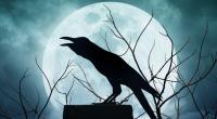 Der Vollmond im März wird auch Krähenmond genannt.