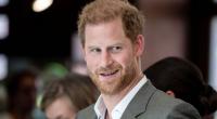 Sir Clive Alderton war Prinz Harry stets ein Dorn im Auge - nun verlässt Harrys Erzfeind nach vielen Jahren den Palast.