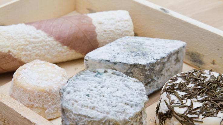 Der Ziegenkäse ist mit E.coli-Bakterien verunreinigt.