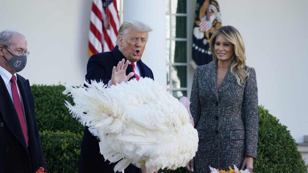 Donald Trump, Pr&auml;sident der USA, steht neben First Lady Melania Trump, w&auml;hrend er im Rosengarten des Wei&szlig;en Hauses den Truthahn "Corn" (Mais) begnadigt. (Foto)