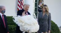 Donald Trump, Präsident der USA, steht neben First Lady Melania Trump, während er im Rosengarten des Weißen Hauses den Truthahn 