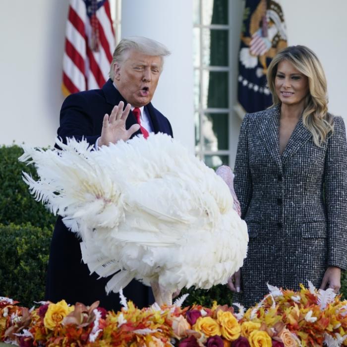 Video deckt auf: Truthahn sagte Trump-Ende schon 2018 voraus!