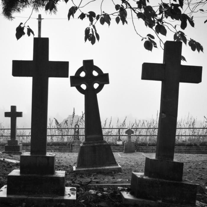 Frau (58) nach Büffel-Streit getötet! Killer stellt Kopf auf Friedhof aus