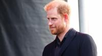 Prinz Harrys Vergangenheit als zügelloses Partybiest verfolgt den 41-Jährigen bis heute.