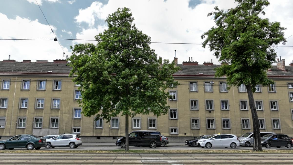 Autos fahren auf einer Stra&szlig;e vor einer Wohnhausanlage, in der ein 13-j&auml;hriges M&auml;dchen get&ouml;tet wurde. (Foto)