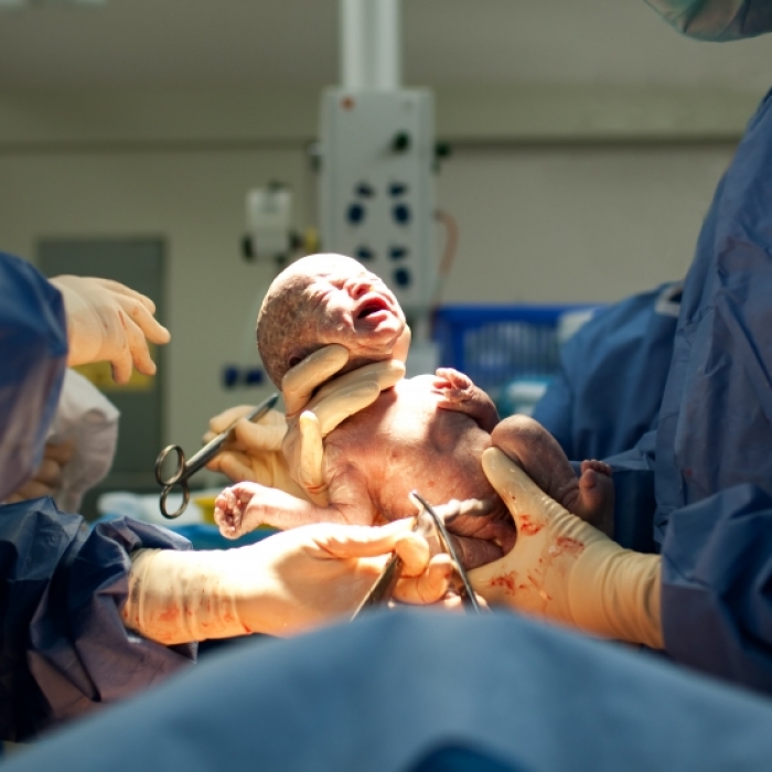 Wo sind die Zehnlinge? Mutter und Kinderschar nicht auffindbar