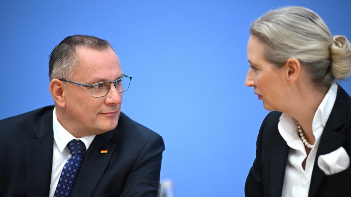 Laut einem Strategiepapier will die AfD mutma&szlig;lich &Auml;nderungen am EU-System vornehmen. (Foto)