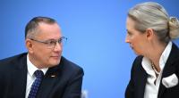 Laut einem Strategiepapier will die AfD mutmaßlich Änderungen am EU-System vornehmen.