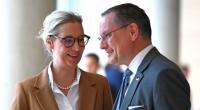 Die AfD ist in der aktuellen Sonntagsfrage stärkste Kraft.