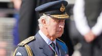 Nach einer Woche, die König Charles III. nach dem Tod seiner Mutter Queen Elizabeth II. pausenlos in der Öffentlichkeit stand, ist der neue Monarch nahezu unbemerkt untergetaucht.
