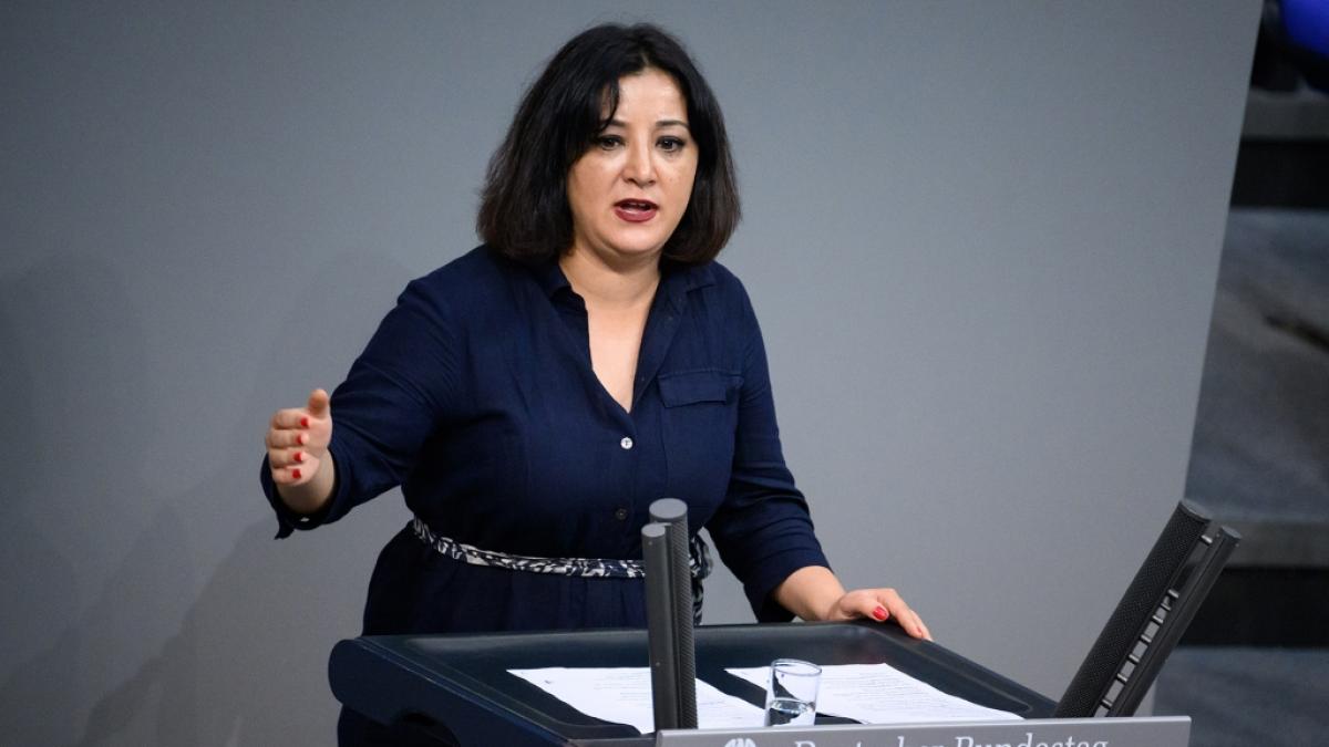 G&ouml;kay Akbulut wurde in einem Zug beleidigt und angegriffen. (Foto)