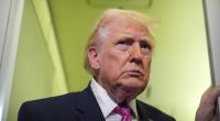 Was steckt wirklich hinter Donald Trumps Forderung nach einem Waffenstillstand in der Ukraine?