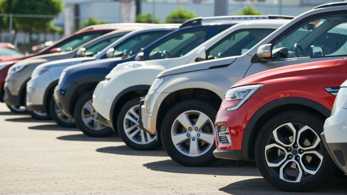 Der Monat Mai 2026 bringt eine Reihe von Gesetzes&auml;nderungen und neuen Gesetzen mit sich, unter anderem zu Entlastungen f&uuml;r Autofahrer, steuerfreien Pr&auml;mien und Gehaltserh&ouml;hungen im &ouml;ffentlichen Dienst. (Foto)