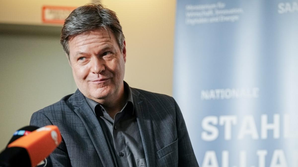 Robert Habeck droht angeblich ein neues Milliarden-Loch. (Foto)