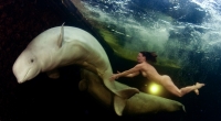 Polarforscherin Natalia Avseenko schwimmt nackt mit den Meeresgiganten.