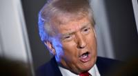 Die radikale Abschiebepraktik in den USA hat für einen Eklat gesorgt. Ein zweijähriges Mädchen mit US-Staatsbürgerschaft wurde - offenbar illegal - abgeschoben. Präsident Donald Trump steht in der Kritik.